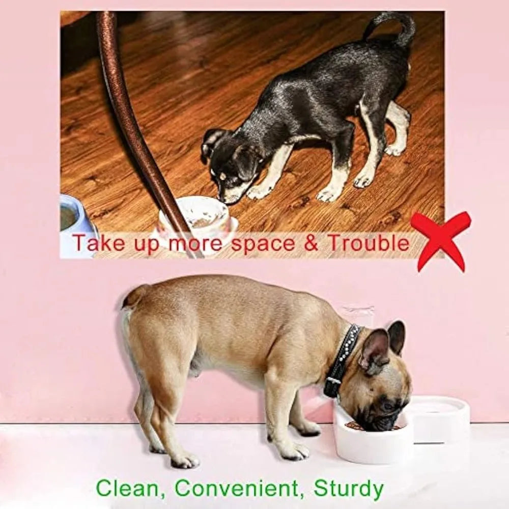 Automatic Pet Feeder/Water Dispenser