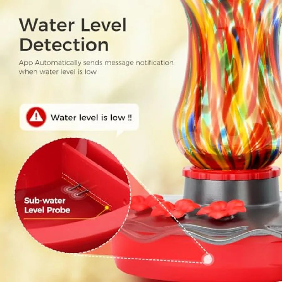 Glass Smart Hummingbird Feeder