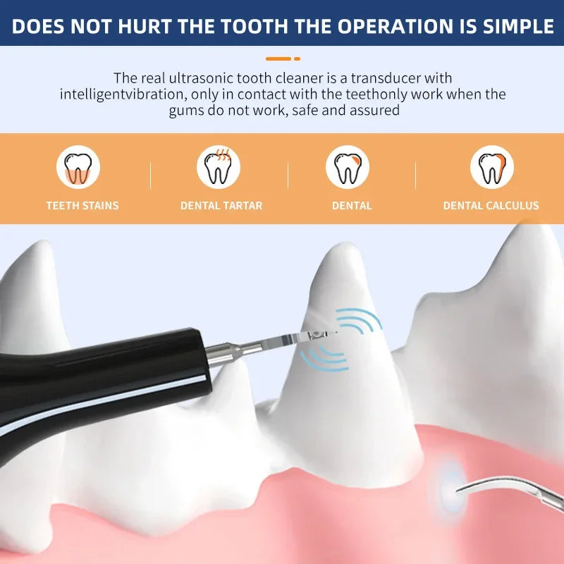 Ultrasonic Electric Dog Toothbrush