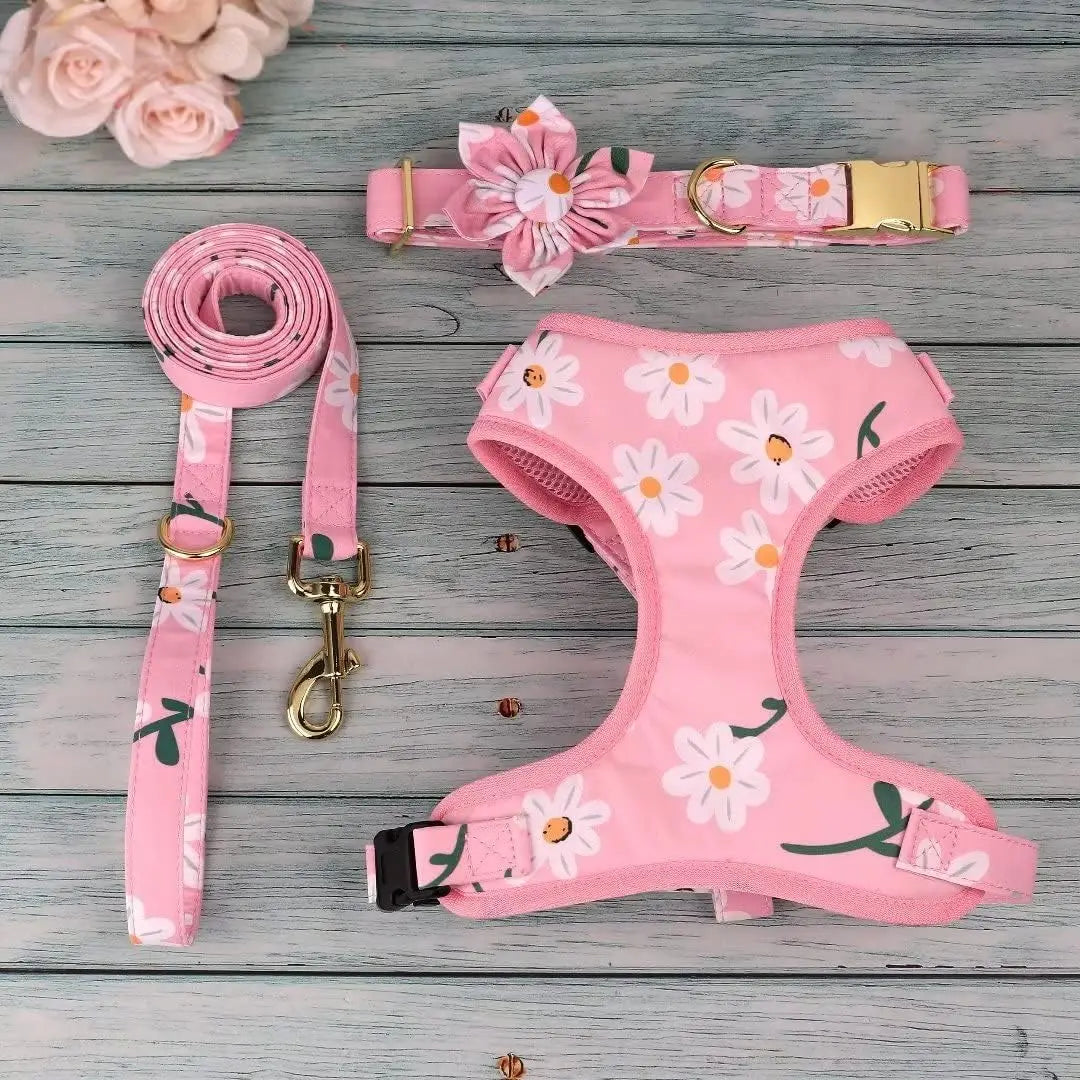 Cute Harness & Leash Set