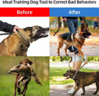 Stainless Steel Dog Training Collar
