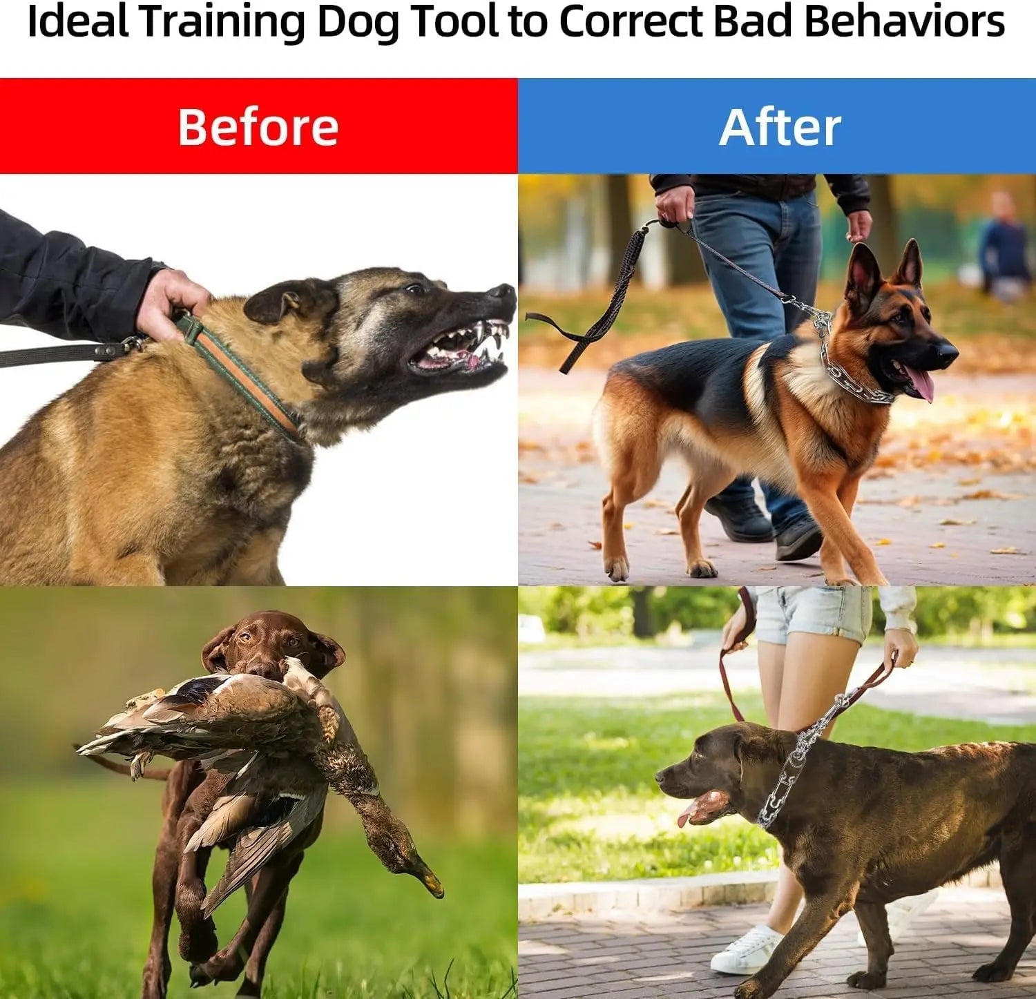 Stainless Steel Dog Training Collar