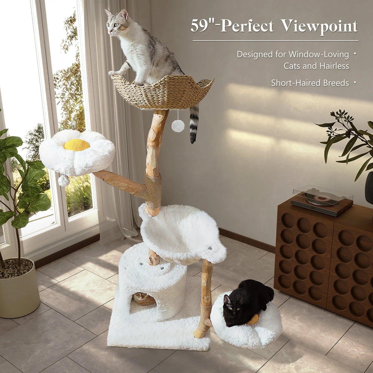 Solid Wood Cat Tree