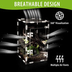 Ventilated Insect Terrarium