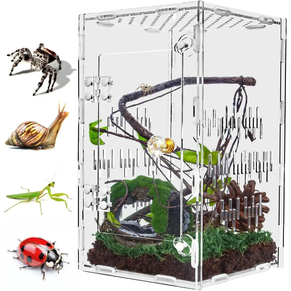 Ventilated Insect Terrarium