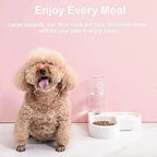 Automatic Pet Feeder/Water Dispenser