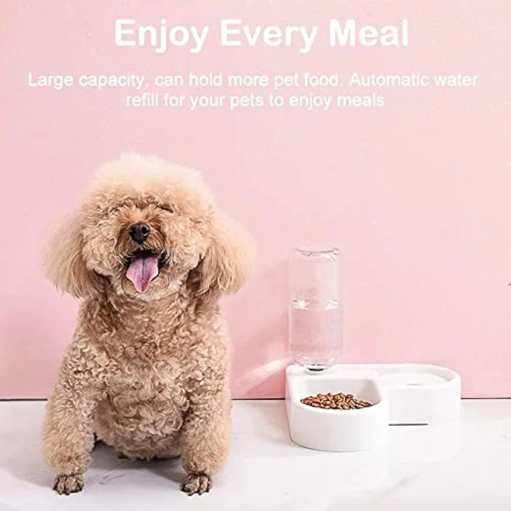 Automatic Pet Feeder/Water Dispenser