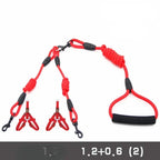 Leashes for 2 smaller Dogs