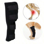 Prevent Chew Licking Hock Joint
