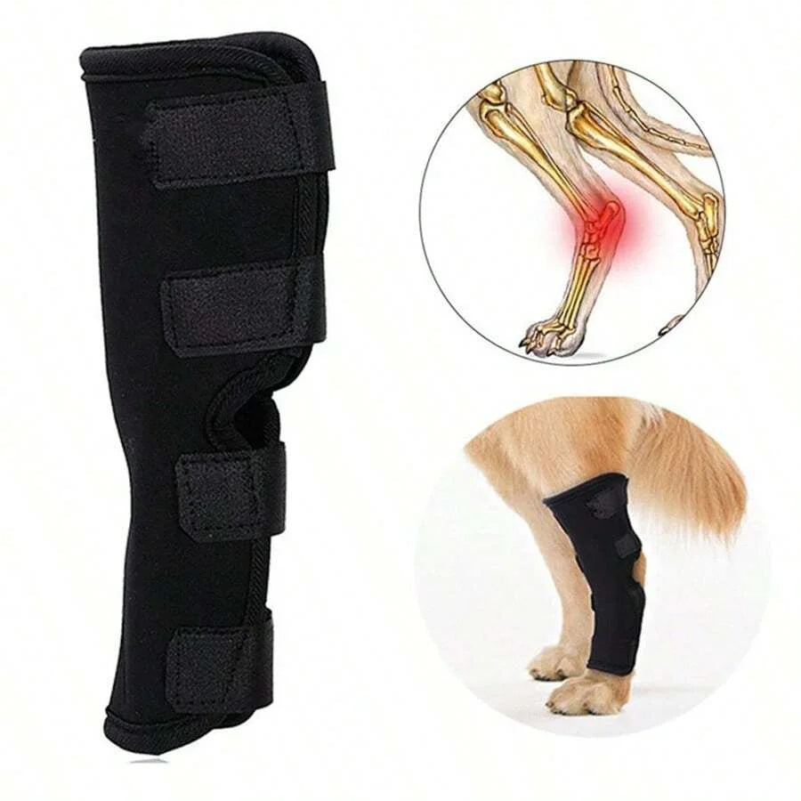 Prevent Chew Licking Hock Joint