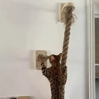 Cat Tree with Climbing Rope
