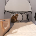 Square Gray Delivery Room