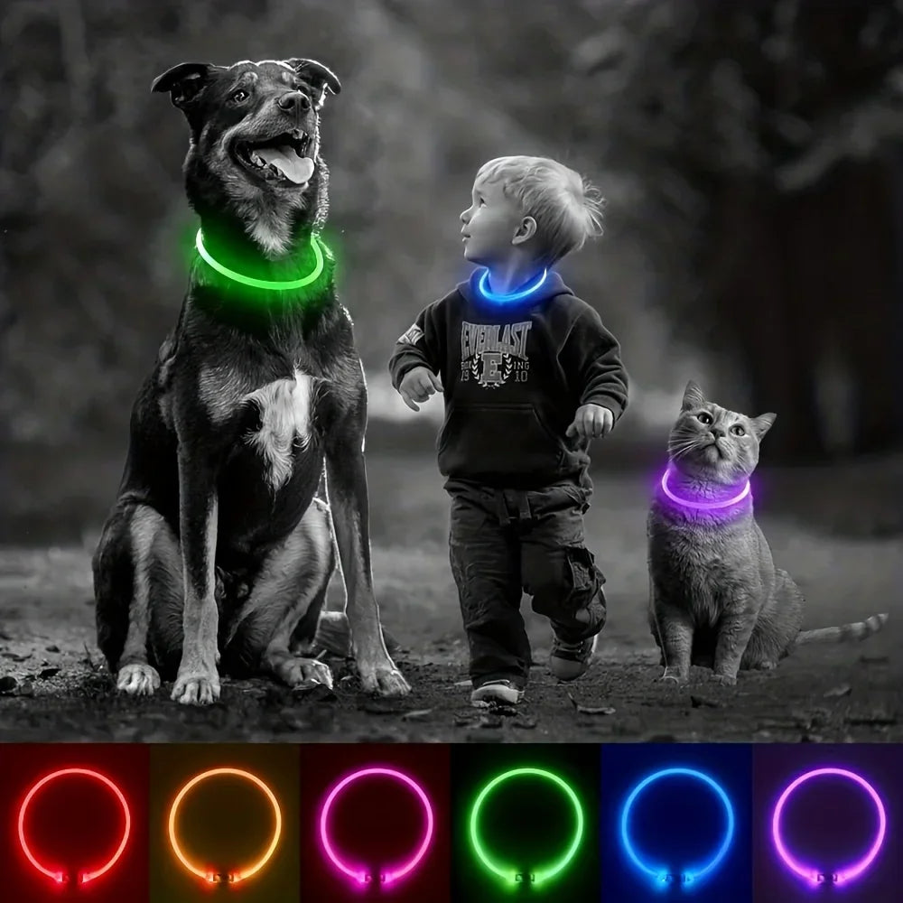 Dog LED Light Collar