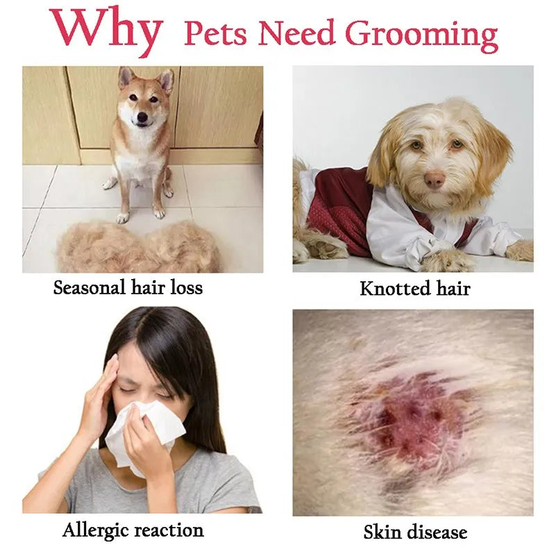 Dog/Cat Brush Hair Remover