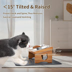 15° Tilted Elevated Pet Bowls/Silicone Mat