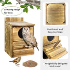 Screech Owl House