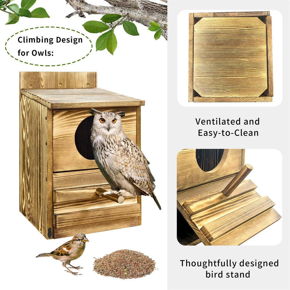 Screech Owl House