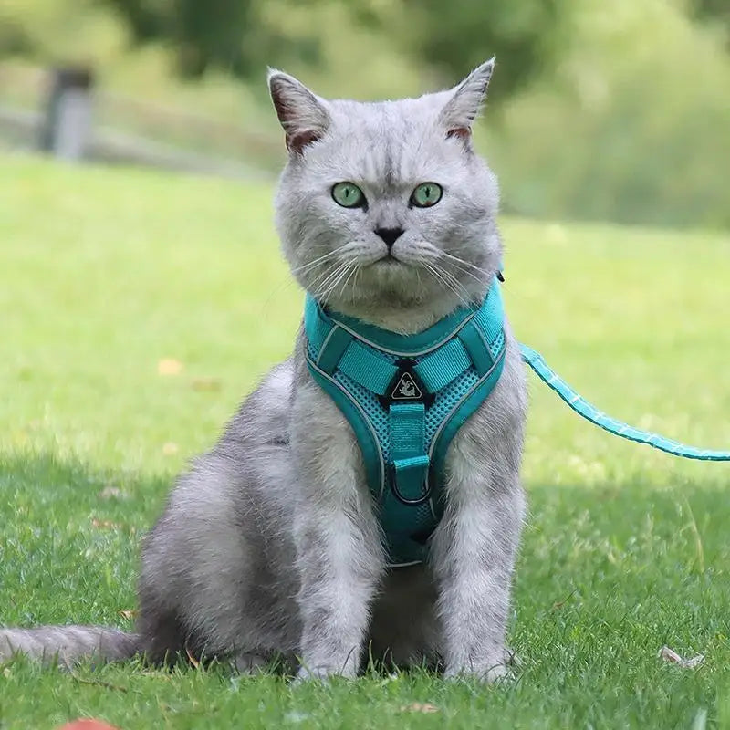 No Pull Dog Harness and Leash Set
