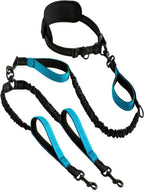 Tangle Free Double Dog Leash for M/L Breeds,