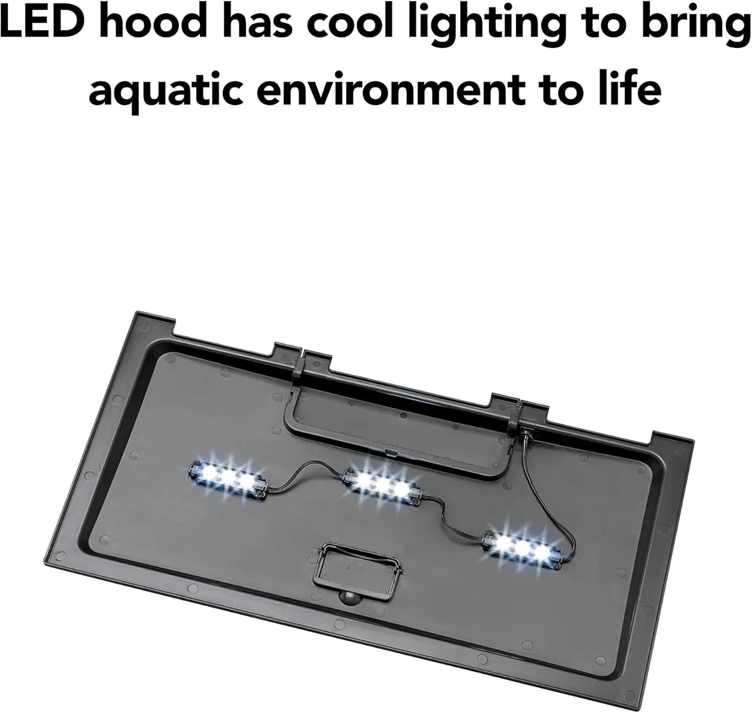 Complete 10 Gallon Aquarium Starter Kit