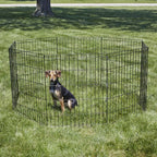 Puppy Dog Exercise Pen