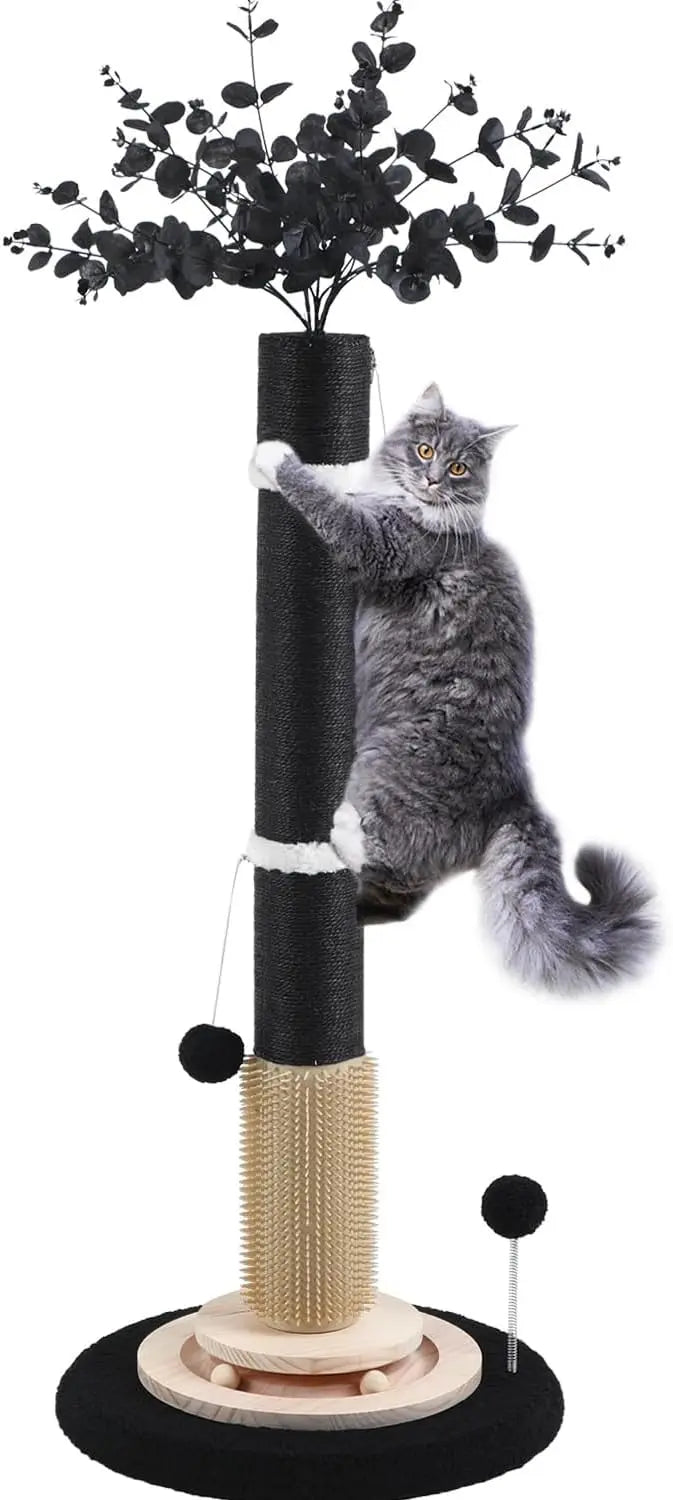 Scratching Posts for Indoor Cats