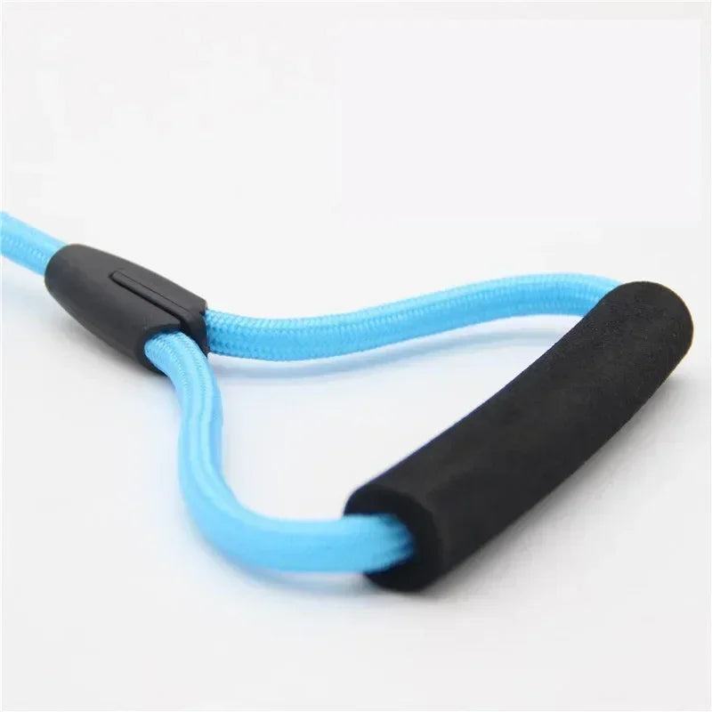 Leashes for 2 smaller Dogs