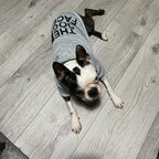Dog Clothes Hoodies Wind Coat