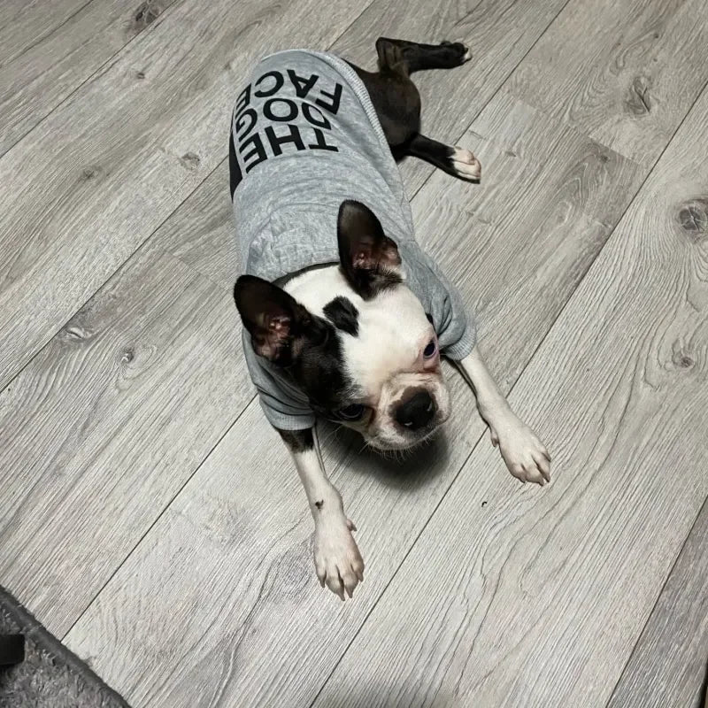 Dog Clothes Hoodies Wind Coat