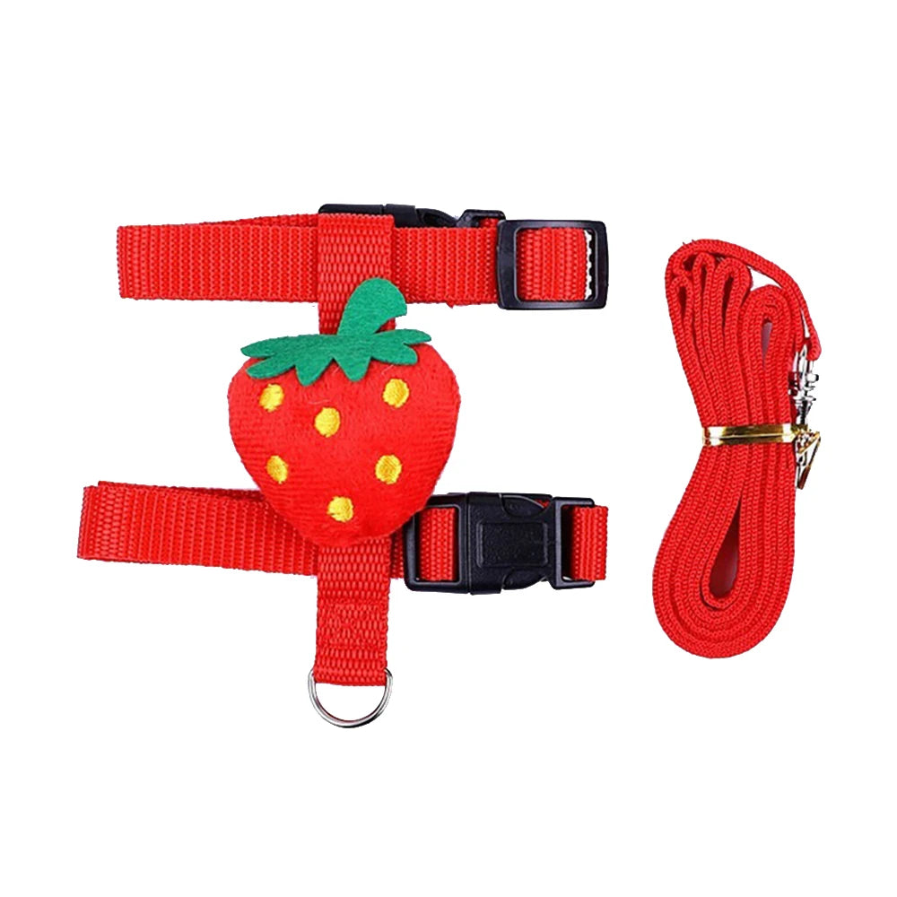 Rabbit/Cat Harness/Leash Set