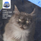 Extra Large Cat Enclosure