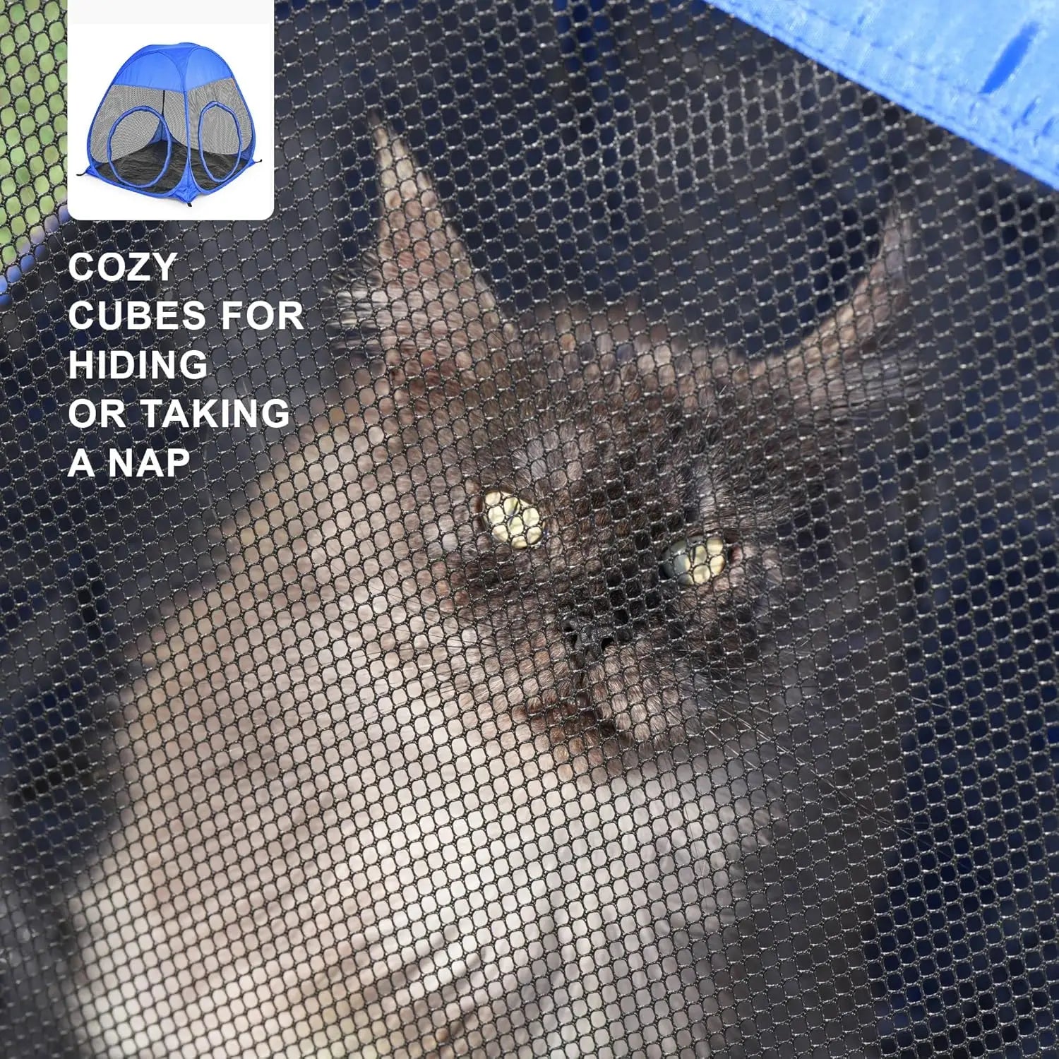 Extra Large Cat Enclosure