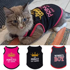 Summer Cotton Sphynx Cat T Shirt