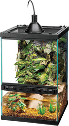 11 Gal Vertical Terrarium Starter Kit