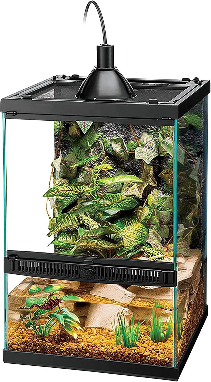 11 Gal Vertical Terrarium Starter Kit