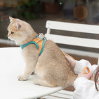 Cat Harness Leash Set