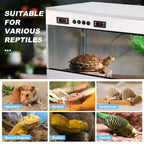 Reptile Enclosure