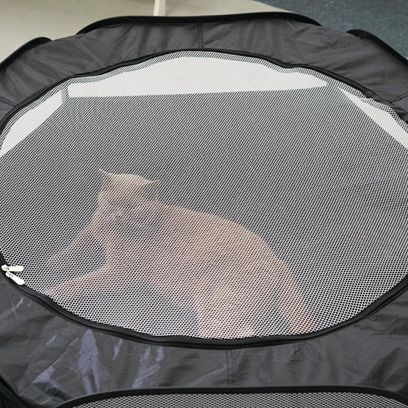 Cat Tunnel House 2 in 1 Interactive