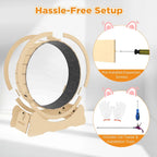 Cat Exercise Wheel Indoor