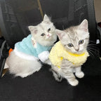 Newborn Cat Kitten Velvet Clothing
