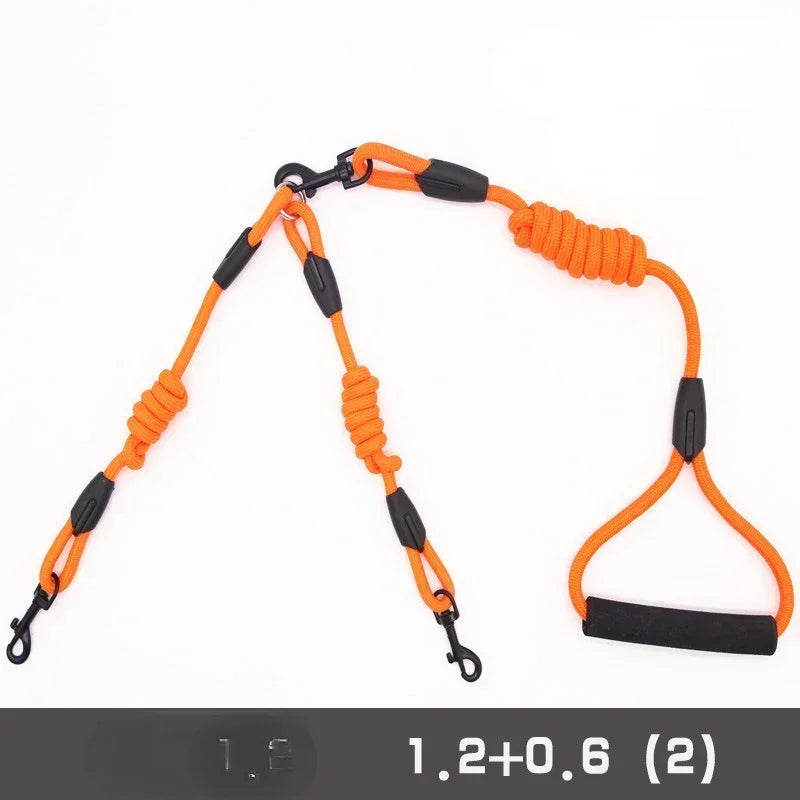 Leashes for 2 smaller Dogs