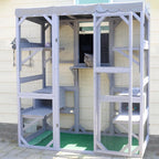 Cat Enclosure