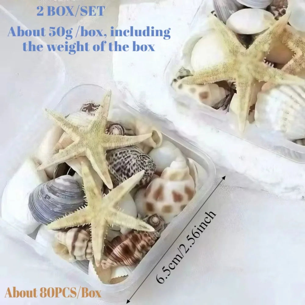 2 Boxes Sea Star and Shells