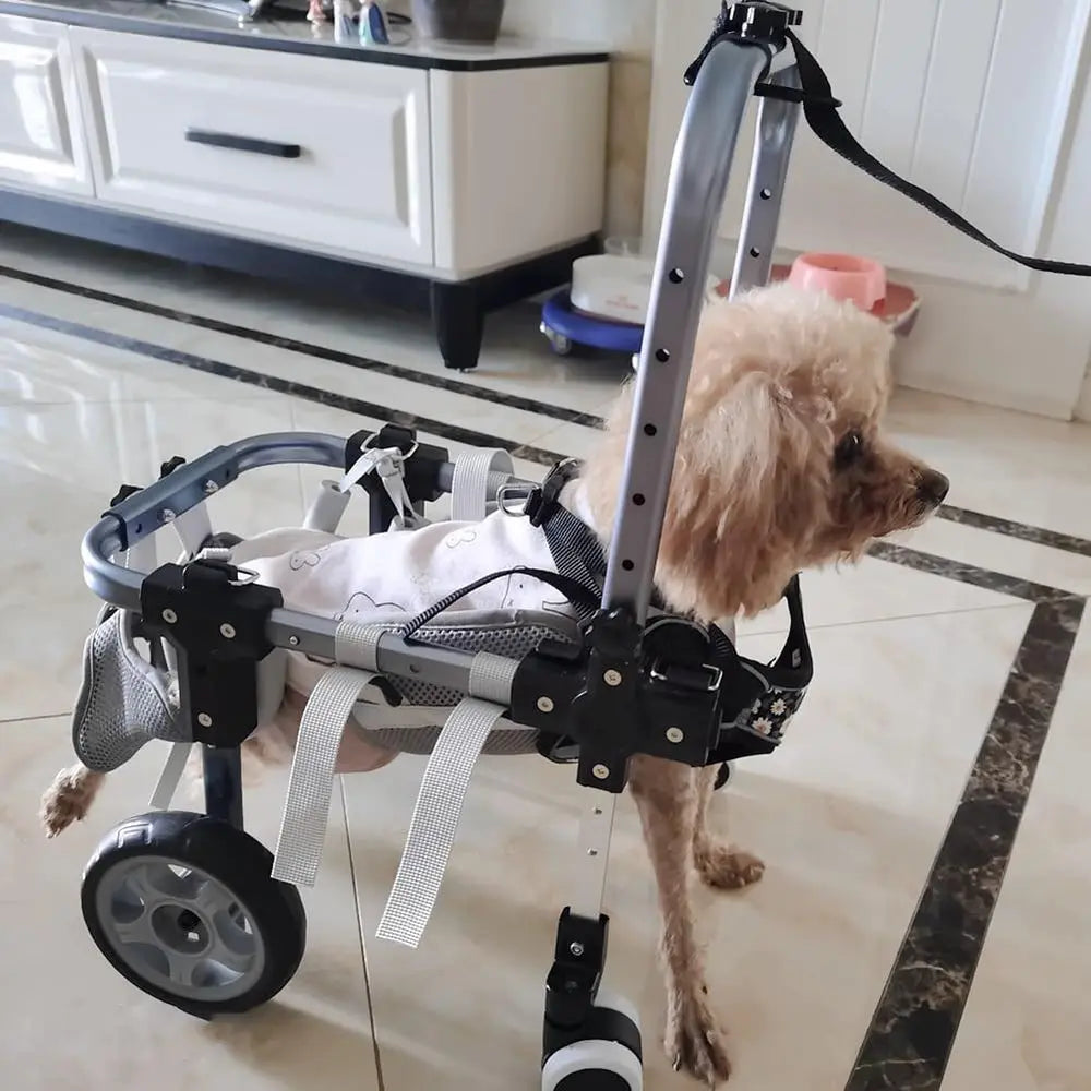 Adjustable 4-Wheel Dog Wheelchair