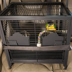 Pet Travel Carrier for Birds