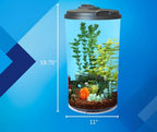 6-Gallon Aquarium Kit