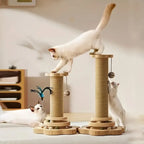 high-quality cat scratch board