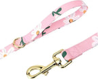 Cute Harness & Leash Set