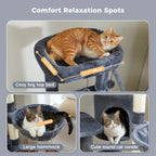 Multi-Level Cat Tree