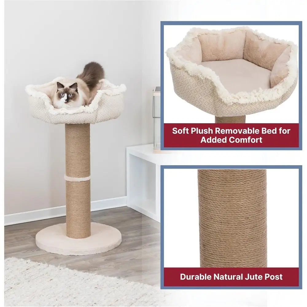 Cat Scratching Post